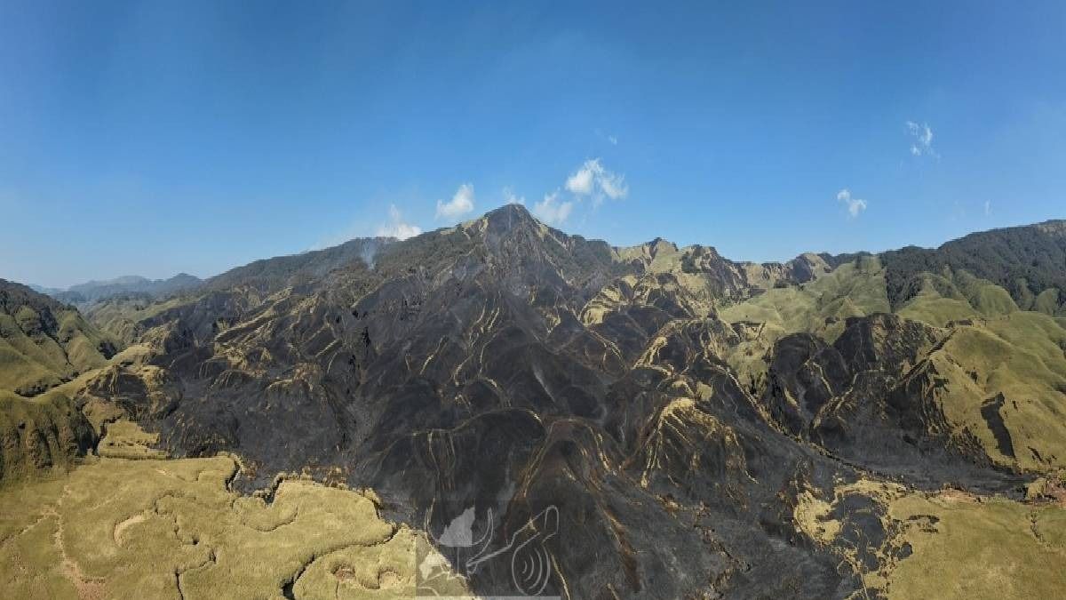 Nagaland Active Flames Near Mt Japf In Dzukou Valley Raise Alarm Authorities Seek Air Forc